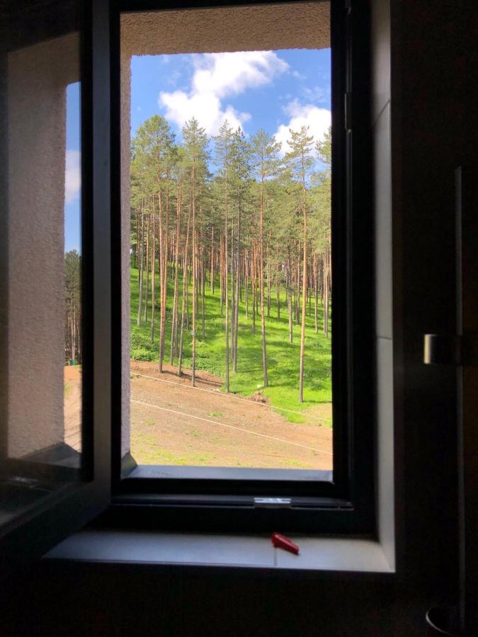 Appartamento Apartman White- Vila Pekovic Zlatibor Esterno foto